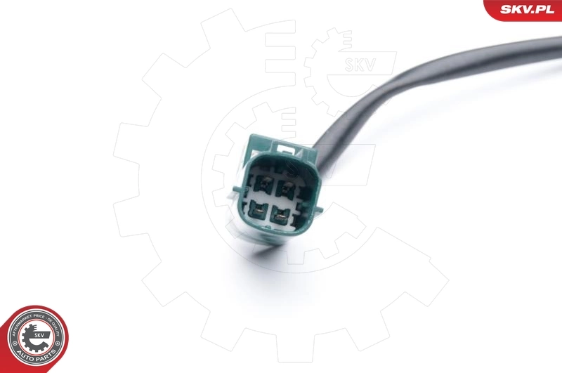 Oxygen Sensor